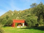 The Barn